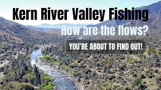 Kern River and Lake Isabella Fishing Report 4-25-24