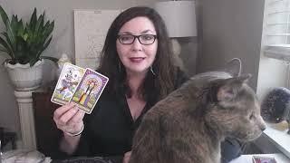 AQUARIUS On Top of the World Getting What You Need - June 2023 Tarot Reading with Stella Wilde