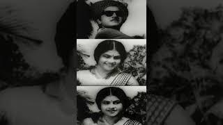 Avakasi Movie Shorts  അവകാശി  Old Movie  Prem Nazir & Miss Kumari  S. P. Pillai  Evergreen Hit