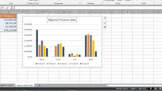 Excel 20102013 Camera Feature