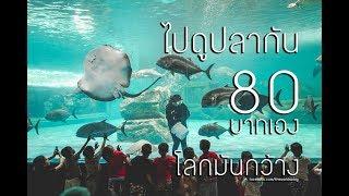 008 อควาเรียม 80 บาท ที่สถาบันวิทยาศาสตร์ทางทะเล มหาวิทยาลัยบูรพา