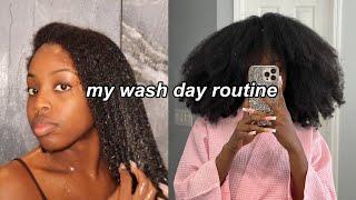 WASH DAY ROUTINE FOR MOISTURE ON THICK DRY NATURAL HAIR type 4 ‍️