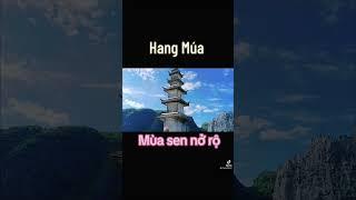 Mùa hè ko đi Hang Múa đời không nể #hangmua #ninhbinh