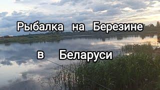 Рыбалка в конце лета на река Березина 2022