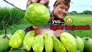 Ngerujak di sawah MUKBANG RUJAK BUAH MANGGA MUDA  RUJAK MANGGA MUDA