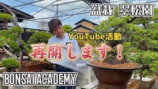 【リニューアル報告】YouTube活動再開します！！