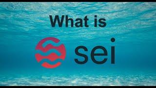 What is Sei?