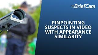 Pinpointing Suspects in Video with Appearance Similarity