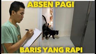 KUCING YATIM ABSEN PAGI BARIS YANG RAPI KITA SELF HEALING DULU