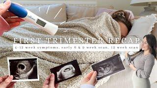 MY FIRST TRIMESTER 4 -13 weeks  line progression early scans bleeding & spotting 12 week scan