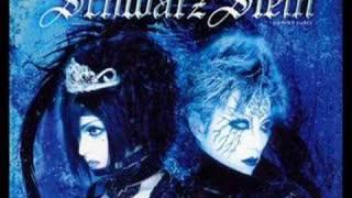 Schwarz Stein - Beautiful The Virgin