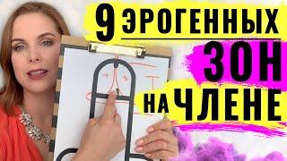 Строение полового члена. 9 эрогенных точек на члене мужчины. Вулканический мужской оргазм