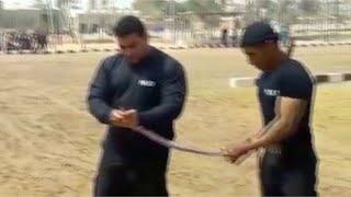 أول فيديو للشهيد العقيد عمرو عبدالمنعم  يأكل ثعبان أثناء التدريبات