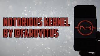 Notorious Kernel for Samsung Galaxy S8S8+  The Best Kernel