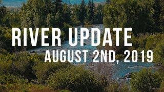 The Blue River Water Update - August 2 2019