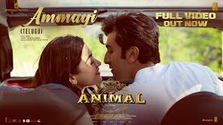 ANIMAL Ammayi Full Video Ranbir KRashmika  Raghav Pritam Anantha  Sandeep Reddy V Bhushan K