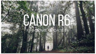 Canon R6 Firmware Update 1.6  Ibis Wobble  Cinematic  RF 16mm 2.8