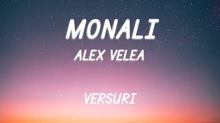 Alex Velea - Monali  Lyric Video