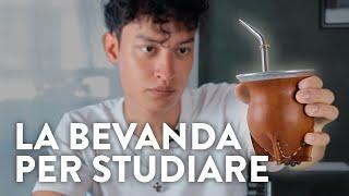 Come studiare meglio e di più con questa bevanda argentina