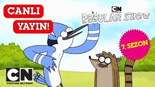 CANLI  SÜREKLİ DİZİ  7. Sezon Tüm Bölümler  Cartoon Network Türkiye