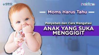 Penyebab dan Cara Mengatasi Anak yang Suka Menggigit