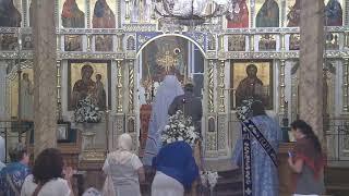 Synodal Cathedral of the Sign Live Stream