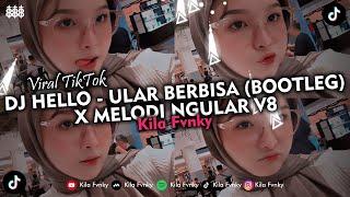 DJ HELLO - ULAR BERBISA BOOTLEG X MELODI NGULAR V8 VIRAL TIKTOK 2024