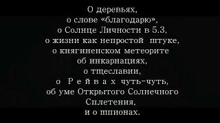 Радио-Из-Архива О моем Солнце Личности уме Ложного я концепции инкарнаций  и проч.