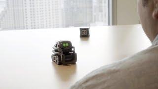 Anki  Vector Onboarding Series  Talking to Vector