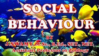 SOCIAL BEHAVIOUR