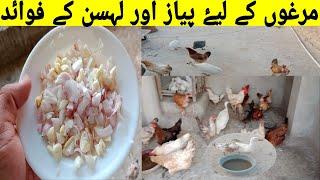 Benefits of onion and garlic for hens l piyaz aur lahsan kay fawaid  @Healthy_and_beautiful_pets