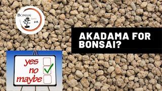 Why we dont use Akadama  The Bonsai Supply