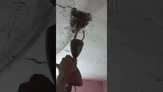 Ceiling fan Jada Vaibrason Kar raha hai to kya kare #electrical