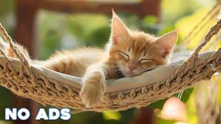 12 Hours Anti Anxiety Music For Cats  Stress Relief Music For Cats  Calming Music For Cats