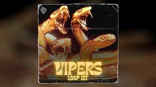 Free DARK TRAP LOOP KIT VIPERS  Creepy 21 Savage 808 Mafia Type Samples