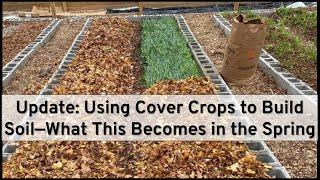 Spring Follow-Up What Happens to Cover Crop Debris Over the Winter?