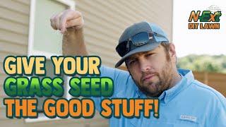 This is How to Get Your Grass Seed to Grow - Seeding and Overseeding Pack