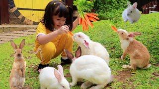 Lets Feeding Rabbits and Milk the Cows  Learn to Know Cute Animals for Kids