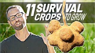 11 Crops to Grow To Survive Difficult Times