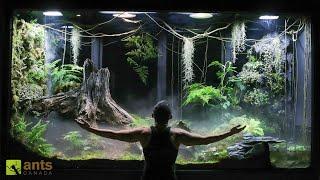 I Built a Giant Cloud Rainforest Vivarium