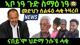 Sep 272024 ኣቦ ነዓ ጉድ ስማዕ ናበይ ህድማ