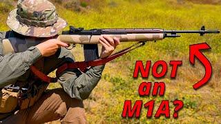 M1A  M14 - Before You Buy