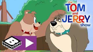 The Tom and Jerry Show  New Dog  Boomerang UK 