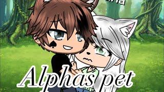 Alphas pet trying something gacha life