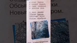 Сергей Есенин Беоая берёза Стихи 2 класс Чтение Задавали в школе