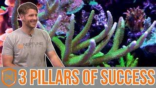 Maximize Reef Tank Success With Neptune Systems