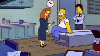 Die Simpsons - Homer beim FBI