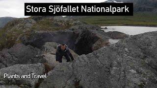 #5 UNGLAUBLICH so einen Stellplatz hatten wir noch nie  Stora Sjöfallet Nationalpark