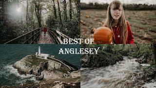 BEST places to visit in ANGLESEY A PERFECT DAY in Wales in autumn