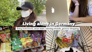 Living Alone in Germany  homework asian mart running errands grocery shopping  Indonesia